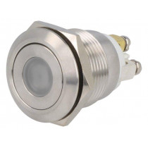 ; Switch: vandal resistant; Pos: 2; SPST-NO; 0.5A/220VAC; 2A/36VDC; ONPOW