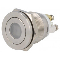 ; Switch: vandal resistant; Pos: 2; SPST-NO; 0.5A/220VAC; 2A/36VDC; ONPOW