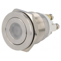 ; Switch: vandal resistant; Pos: 2; SPST-NO; 0.5A/220VAC; 2A/36VDC; ONPOW