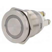 ; Switch: vandal resistant; Pos: 2; SPST-NO; 0.5A/220VAC; 2A/36VDC; ONPOW