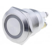 ; Switch: vandal resistant; Pos: 2; SPST-NO; 2A/36VDC; IP65; OFF-(ON); ONPOW