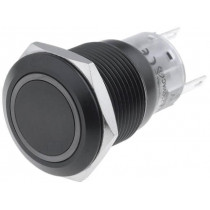 ; Switch: vandal resistant; Pos: 2; SPDT; 0.5A/220VAC; 1A/24VDC; IP67; ONPOW