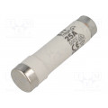002311407; Fuse: fuse; gG; 25A; 500VAC; 500VDC; ceramic; DI; D; ETI POLAM