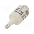 002312101; Fuse: fuse; quick blow; 2A; 500VAC; 500VDC; ceramic; DII; D; ETI POLAM