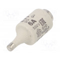002312403; Fuse: fuse; gG; 6A; 500VAC; 500VDC; ceramic; DII; D; ETI POLAM