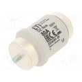 002314101; Fuse: fuse; quick blow; 80A; 500VAC; 500VDC; ceramic; DIV; D; ETI POLAM
