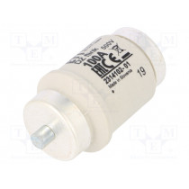 002314102; Fuse: fuse; quick blow; 100A; 500VAC; 500VDC; ceramic; DIV; D; ETI POLAM