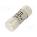 002640019; Fuse: fuse; gG; 50A; 500VAC; cylindrical,industrial; 22x58mm; ETI POLAM