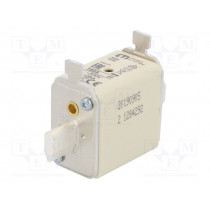 004182216; Fuse: fuse; gG; 160A; 500VAC; ceramic,industrial; NH00; WT-NH; ETI POLAM 004182216; Fuse: fuse; gG; 160A; 500VAC; ceramic,industrial; NH00; WT-NH; ETI POLAM