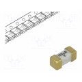 0448.100MR; Fuse: fuse; ultra rapid; 100mA; 125V; SMD; ceramic; Case: 2410; 448; LITTELFUSE