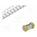 0448.800MR; Fuse: fuse; ultra rapid; 800mA; 125V; SMD; ceramic; Case: 2410; 448; LITTELFUSE