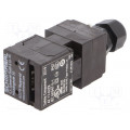 AZ 17-02ZK; Safety switch: key operated; Series: AZ 17; Contacts: NC x2; IP67; SCHMERSAL