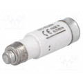 10NZ01R; Fuse: fuse; gR,quick blow; 10A; 400VAC; 250VDC; ceramic,industrial; BUSSMANN