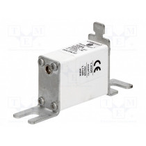 170M1417; Fuse: fuse; aR,quick blow; 100A; 690VAC; ceramic,industrial; NH000; BUSSMANN