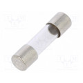 179020.0,1; Fuse: fuse; quick blow; 100mA; 250VAC; cylindrical,glass; 5x20mm; SIBA