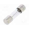 179120.0,05; Fuse: fuse; time-lag; 50mA; 250VAC; cylindrical,glass; 5x20mm; SIBA 179120.0,05; Fuse: fuse; time-lag; 50mA; 250VAC; cylindrical,glass; 5x20mm; SIBA