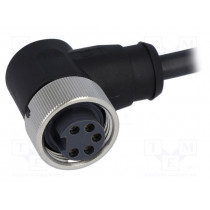 21349900598015; Plug; 7/8