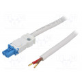 244360; Cab.accessories: power cable; cascade connection; Series: 025; STEGO 244360; Cab.accessories: power cable; cascade connection; Series: 025; STEGO