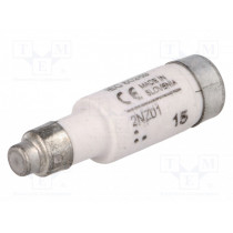2NZ01; Fuse: fuse; 2A; 400VAC; 250VDC; ceramic,industrial; D01; BUSSMANN
