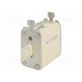3NE8 018-1; Fuse: fuse; gR; 63A; 690VAC; 440VDC; industrial; NH00; SENTRON; SIEMENS