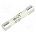632411; Fuse: fuse; ultra rapid; 250mA; 1kVAC; ceramic,cylindrical; brass; ESKA