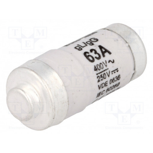 63NZ02; Fuse: fuse; 63A; 400VAC; 250VDC; ceramic,industrial; D02; BUSSMANN
