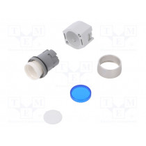 704.012.6; Switch: push-button; Stabl.pos: 1; 22mm; blue; Illumin: none; IP65; EAO