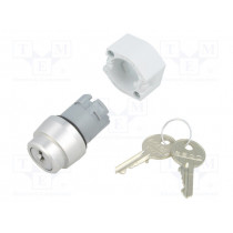 704.113.0; Switch: rotary with key; Stabl.pos: 3; 22mm; silver; Illumin: none; EAO
