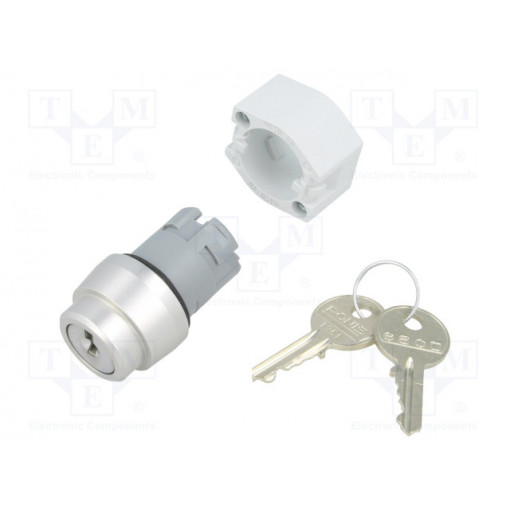 704.113.0; Switch: rotary with key; Stabl.pos: 3; 22mm; silver; Illumin: none; EAO