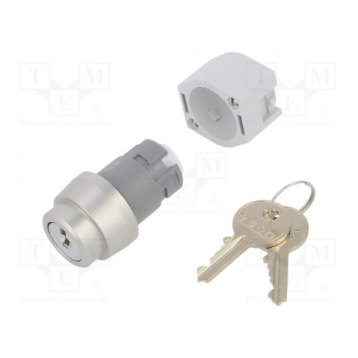 704.121.0; Switch: rotary with key; Stabl.pos: 2; 22mm; silver; Illumin: none; EAO
