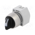 704.411.0I; Switch: rotary; Stabl.pos: 2; 22mm; yellow/black; IP65; Pos: 2; EAO