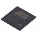 AT91SAM9G20B-CU; ARM microprocessor; ARM926; SRAM: 32kB; 0.9÷1.1VDC; SMD; LFBGA217; MICROCHIP TECHNOLOGY