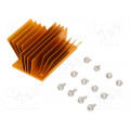 ATS-1101-C1-R0; Heatsink: extruded; grilled; BGA; golden; L: 58mm; W: 37mm; H: 22.9mm; Advanced Thermal Solutions ATS-1101-C1-R0; Heatsink: extruded; grilled; BGA; golden; L: 58mm; W: 37mm; H: 22.9mm; Advanced Thermal Solutions