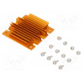 ATS-1104-C1-R0; Heatsink: extruded; grilled; BGA; golden; L: 61mm; W: 58mm; H: 11.4mm; Advanced Thermal Solutions ATS-1104-C1-R0; Heatsink: extruded; grilled; BGA; golden; L: 61mm; W: 58mm; H: 11.4mm; Advanced Thermal Solutions