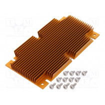 ATS-1109-C1-R0; Heatsink: extruded; grilled; BGA; golden; L: 117mm; W: 61mm; H: 11.4mm; Advanced Thermal Solutions