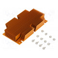 ATS-1111-C1-R0; Heatsink: extruded; grilled; BGA; golden; L: 117mm; W: 61mm; H: 22.9mm; Advanced Thermal Solutions ATS-1111-C1-R0; Heatsink: extruded; grilled; BGA; golden; L: 117mm; W: 61mm; H: 22.9mm; Advanced Thermal Solutions