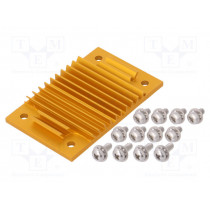ATS-1138-C1-R0; Heatsink: extruded; grilled; BGA; golden; L: 37mm; W: 58mm; H: 6.1mm; Advanced Thermal Solutions