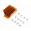 ATS-1181-C1-R0; Heatsink: extruded; grilled; BGA; golden; L: 58mm; W: 23mm; H: 22.9mm; Advanced Thermal Solutions ATS-1181-C1-R0; Heatsink: extruded; grilled; BGA; golden; L: 58mm; W: 23mm; H: 22.9mm; Advanced Thermal Solutions