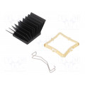 ATS-51290R-C1-R0; Heatsink: extruded; grilled; BGA; black; L: 29mm; W: 29mm; H: 19.5mm; Advanced Thermal Solutions