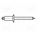 TAPK48BS/BN925; Rivet; aluminium; Rivet diam: 3.2mm; L.rivet: 11mm; BN: 925; BOSSARD TAPK48BS/BN925; Rivet; aluminium; Rivet diam: 3.2mm; L.rivet: 11mm; BN: 925; BOSSARD