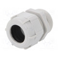 BM4029L; Cable gland; with long thread; PG29; IP68; Mat: polyamide; grey; BM GROUP