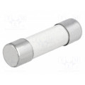 C10G10; Fuse: fuse; 10A; 500VAC; ceramic,cylindrical,industrial; BUSSMANN