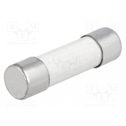 C10G10; Fuse: fuse; 10A; 500VAC; ceramic,cylindrical,industrial; BUSSMANN