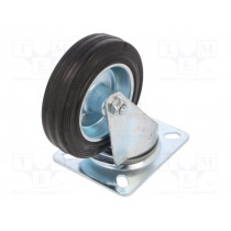 CKPW-SG 100W; Transport wheel; Ø: 100mm; W: 25mm; H: 128mm; torsional; 70kg; RADER