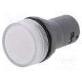 1SFA619403R5238; Control lamp; 22mm; CL2; -25÷70°C; Illumin: LED; Ø22mm; 230VAC; ABB