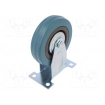 CTPA-PG 100S; Transport wheel; Ø: 100mm; W: 25mm; H: 130mm; rigid; 65kg; -5÷40°C; RADER