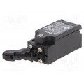 D4N-1172; Limit switch; lever R 19mm, plastic roller Ø12mm; NO + NC; 10A; OMRON