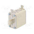 382060; Fuse: fuse; gG; 80A; 690VAC; ceramic,industrial; NH00; DF ELECTRIC