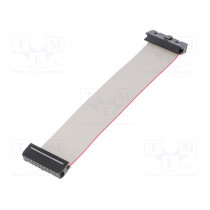 FC20300-0; Ribbon cable with IDC connectors; 20x28AWG; Cable ph: 1.27mm; AMPHENOL