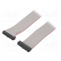 FC24150-0; Ribbon cable with IDC connectors; 24x28AWG; Cable ph: 1.27mm; AMPHENOL FC24150-0; Ribbon cable with IDC connectors; 24x28AWG; Cable ph: 1.27mm; AMPHENOL